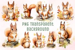 Watercolor Squirrels Clipart Bundle Product Image 2