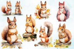 Watercolor Squirrels Clipart Bundle Product Image 3