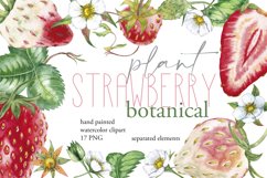 Watercolor separated elements of strawberry botanical plant. Berries, flowers, stems, leaves.