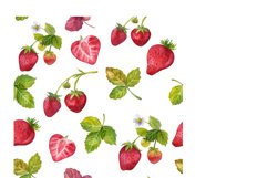 Watercolor Clipart, Strawberry clipart, farm clipart png Product Image 5