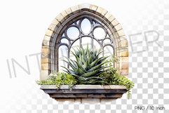 Round Stone Window Succulent Pot PNG Cactus Clipart Illust Product Image 1