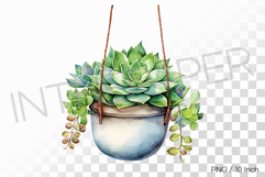 Hanging Ceramic Pot Succulent Flowerpot PNG Plant Clipart Product Image 1