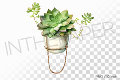 Leather Strap Clay Pot Succulent Pot PNG Plant art Illust Product Image 1