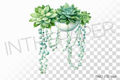 White Pot Trailing Teal Succulent PNG Plant Clipart Illust Product Image 1