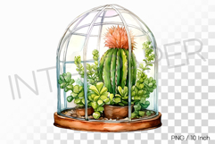 Round Glass Dome Cactus Flower Terrarium PNG Plant Clipart Product Image 1