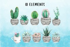 Watercolor Succulent Clipart Set In Pots| Cactus Clipart Png Product Image 2