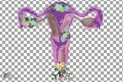Watercolour Women womb, cervix, vagina, ovary flower design. Product Image 10