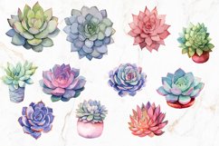 Watercolor Succulents | 50 PNG files Product Image 4