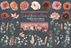 Sunburnt summer color flowers and eucalyptus branches vector Product Image 15