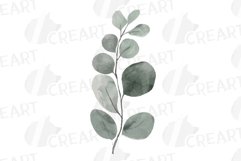 Sunburnt summer color flowers and eucalyptus branches vector Product Image 8