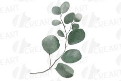 Sunburnt summer color flowers and eucalyptus branches vector Product Image 9