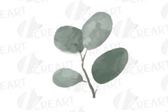 Sunburnt summer color flowers and eucalyptus branches vector Product Image 10