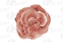 Sunburnt summer color flowers and eucalyptus branches vector Product Image 11