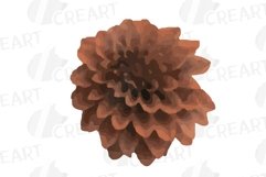 Sunburnt summer color flowers and eucalyptus branches vector Product Image 14