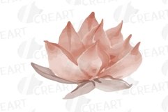 Sunburnt summer color flowers and eucalyptus branches vector Product Image 13