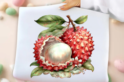 Watercolor Summer Fruit Clipart Png Product Image 3