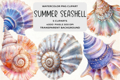 Watercolor Summer Seashell Clipart Product Image 1