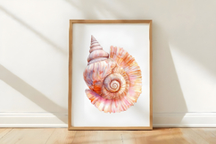 Watercolor Summer Seashell Clipart Product Image 3