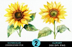 Watercolor Sunflower Graphics Clipart Product Image 1