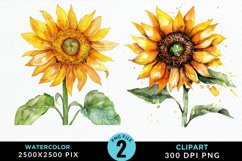Watercolor Sunflower Illustration Clipart Product Image 1