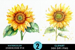 Watercolor Sunflower Illustration Clipart Product Image 1