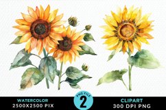 Watercolor Sunflower Graphics Clipart Product Image 1