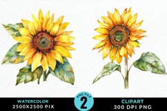 Watercolor Sunflower Illustration Clipart Product Image 1