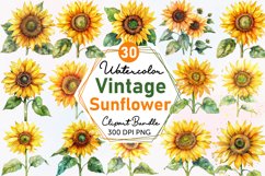Watercolor Sunflower Clipart Bundle Product Image 1