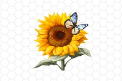 Watercolor Sunflower with Butterfly Clipart