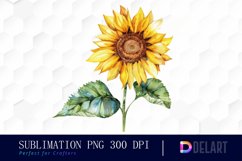 Sunflower With Butterfly Illustration Clipart Product Image 1
