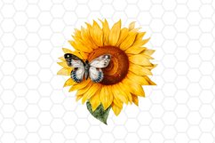 Watercolor Sunflower with Butterfly Clipart
