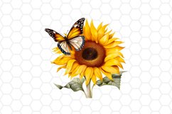 Watercolor Sunflower with Butterfly Clipart