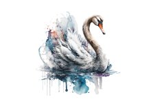 Swan Colorful Watercolor Sublimation, Swan Colorful Watercolor, Sublimation Design, Digital Download, Watercolor Clipart, Art, Illustration Instant Download, Digital ,Sublimation, Printable, Print On Demand ,Bundle Clipart, Watercolor,
