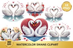 18 png Watercolor Swans Clipart, Valentine&#039;s Day Swan Bundle Product Image 1