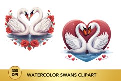 18 png Watercolor Swans Clipart, Valentine&#039;s Day Swan Bundle Product Image 3