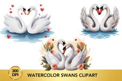 18 png Watercolor Swans Clipart, Valentine&#039;s Day Swan Bundle Product Image 2
