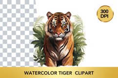 5 png Watercolor tiger Clipart , Animal Sublimation Bundle Product Image 4