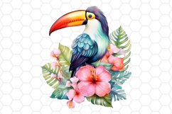 Watercolor Toucan Clipart Tropical Sublimation PNG