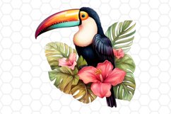Watercolor Toucan Clipart Tropical Sublimation PNG