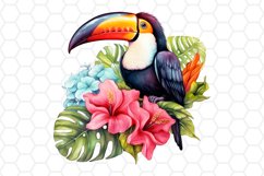 Watercolor Toucan Clipart Tropical Sublimation PNG