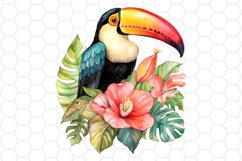 Watercolor Toucan Clipart Tropical Sublimation PNG