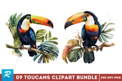 clipart bundle,png clipart,kitchen art,watercolor clipart,png files,summer clipart,commercial use,digital clipart,clipart png,food clipart,coffee clipart,coffee lover,coffee png,Watercolor Toucans Clipart Bundle ,Toucans Clipart Bundle,Toucans Clipart 