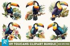 clipart bundle,png clipart,kitchen art,watercolor clipart,png files,summer clipart,commercial use,digital clipart,clipart png,food clipart,coffee clipart,coffee lover,coffee png,Watercolor Toucans Clipart Bundle ,Toucans Clipart Bundle,Toucans Clipart 