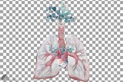 Eucalyptus and anatomical blush lungs with heart graphic Product Image 10