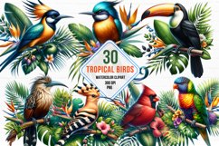 Watercolor Tropical Birds Clipart, tropical Birds Bundle Product Image 1