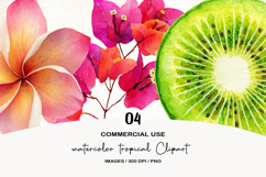 watercolor tropical Clipart Product Image 1