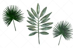 Watercolor Tropical Leaves Clipart 