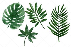 Watercolor Tropical Leaves Clipart Png files 