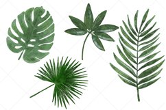 Watercolor Tropical Leaves Clipart 