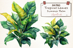 Watercolor Tropical Leaves, Summer Palm Product Image 1